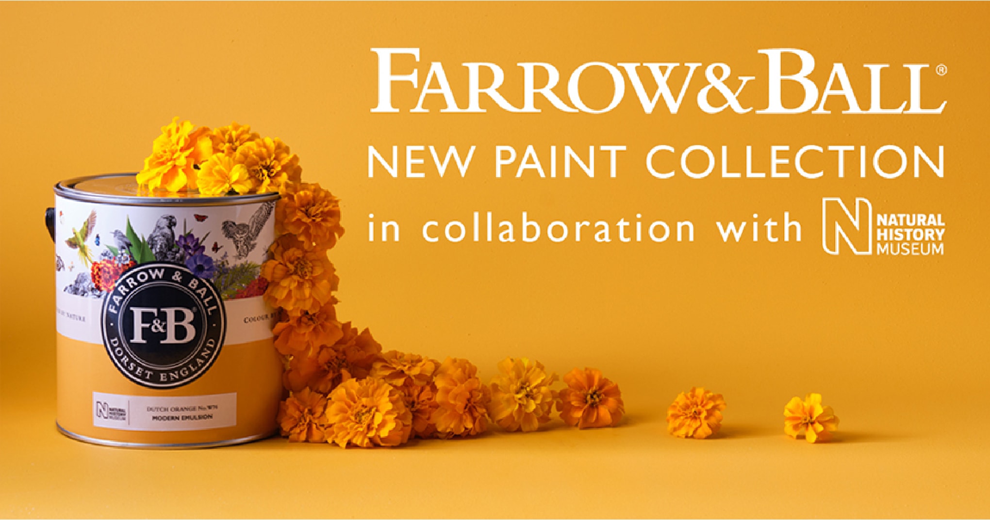 FARROW&BALL NEW PAINT COLLECTION in collaboration with NATURAL HISTORY MUSEUM
