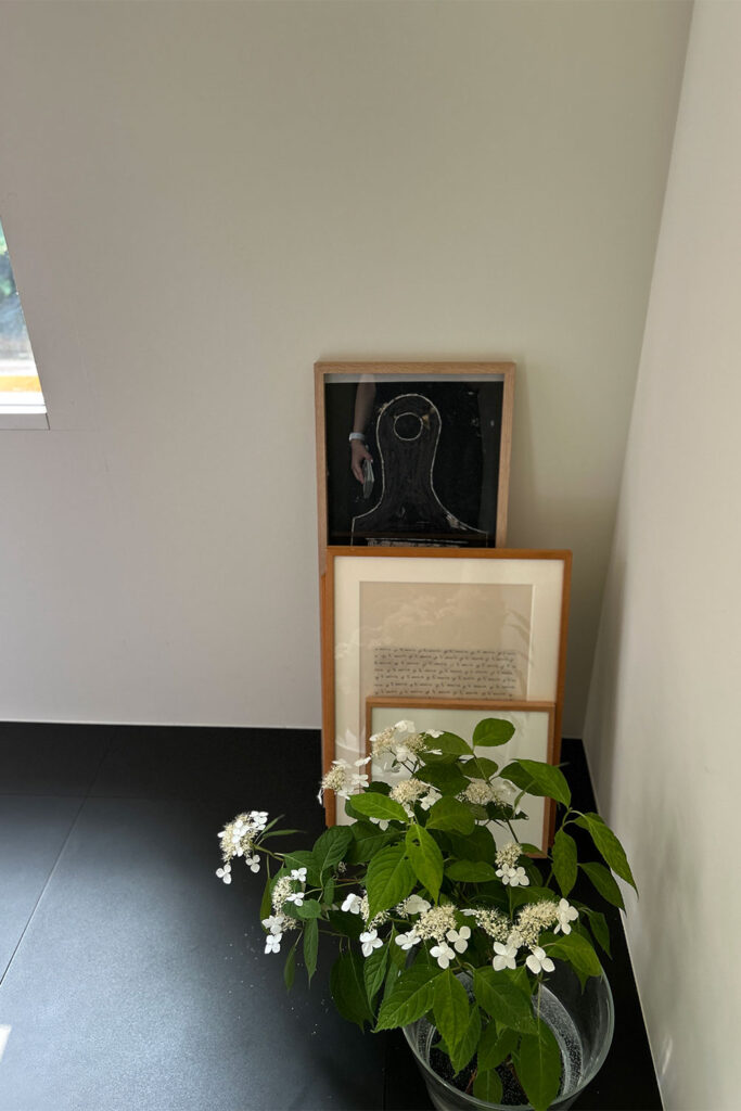 伊藤まさこさんの軽井沢のご自宅を彩る、光と「No.39 Wimborne White」の魔法