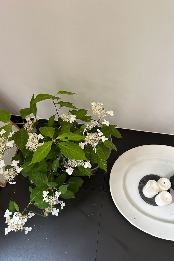 伊藤まさこさんの軽井沢のご自宅を彩る、光と「No.39 Wimborne White」の魔法
