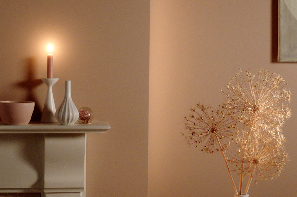 FARROW & BALL / No.303 Templeton Pink
