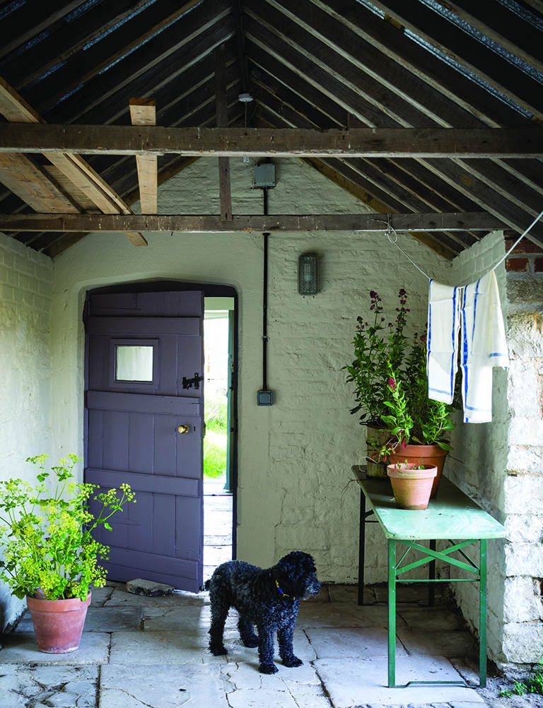 壁:No.226 Joa's White