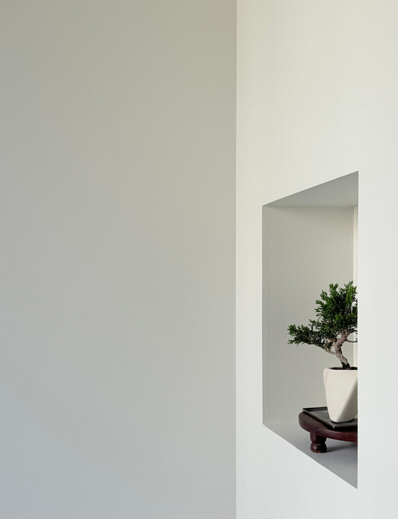 Strong Whiteの壁にあるニッチに飾られた盆栽。光が柔らかな影を作っている。No.2001 Strong White（ストロングホワイト）