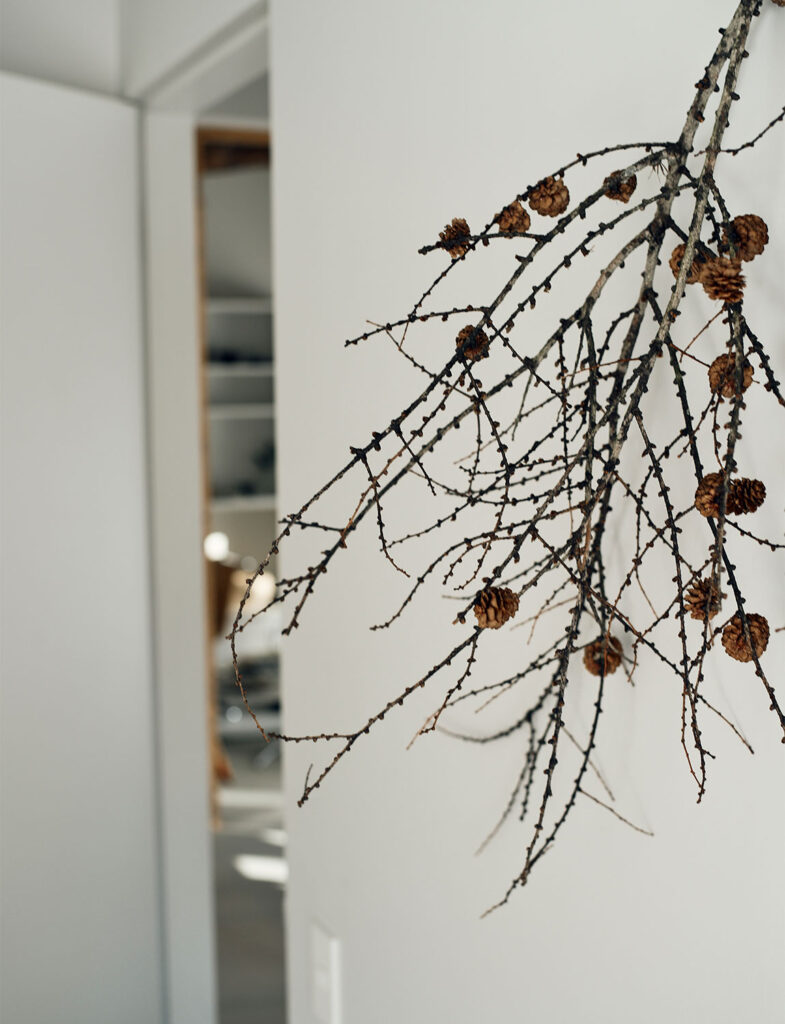 インテリアスタイリスト・黒田美津子さんのアトリエを彩る、松ぼっくりの付いた繊細な枝のディスプレー。無機質な白い壁に、有機的な枝のラインが美しいコントラストを描き出している。自然界の造形美をそのままインテリアに取り入れることで、ミニマルな空間に季節感と温もりを添える、プロフェッショナルな感性が光るスタイリング。